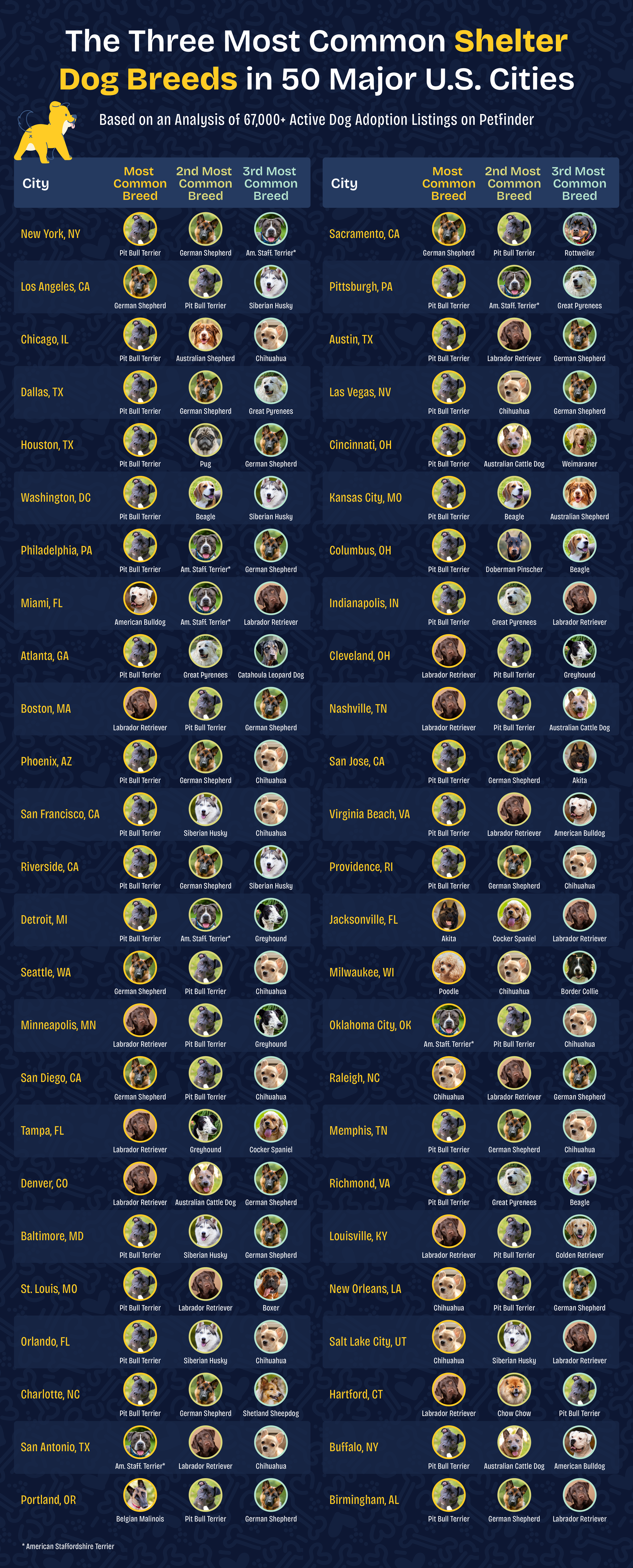 a chart showing the three most common dog breeds found in shelters in the 50 largest U.S. cities