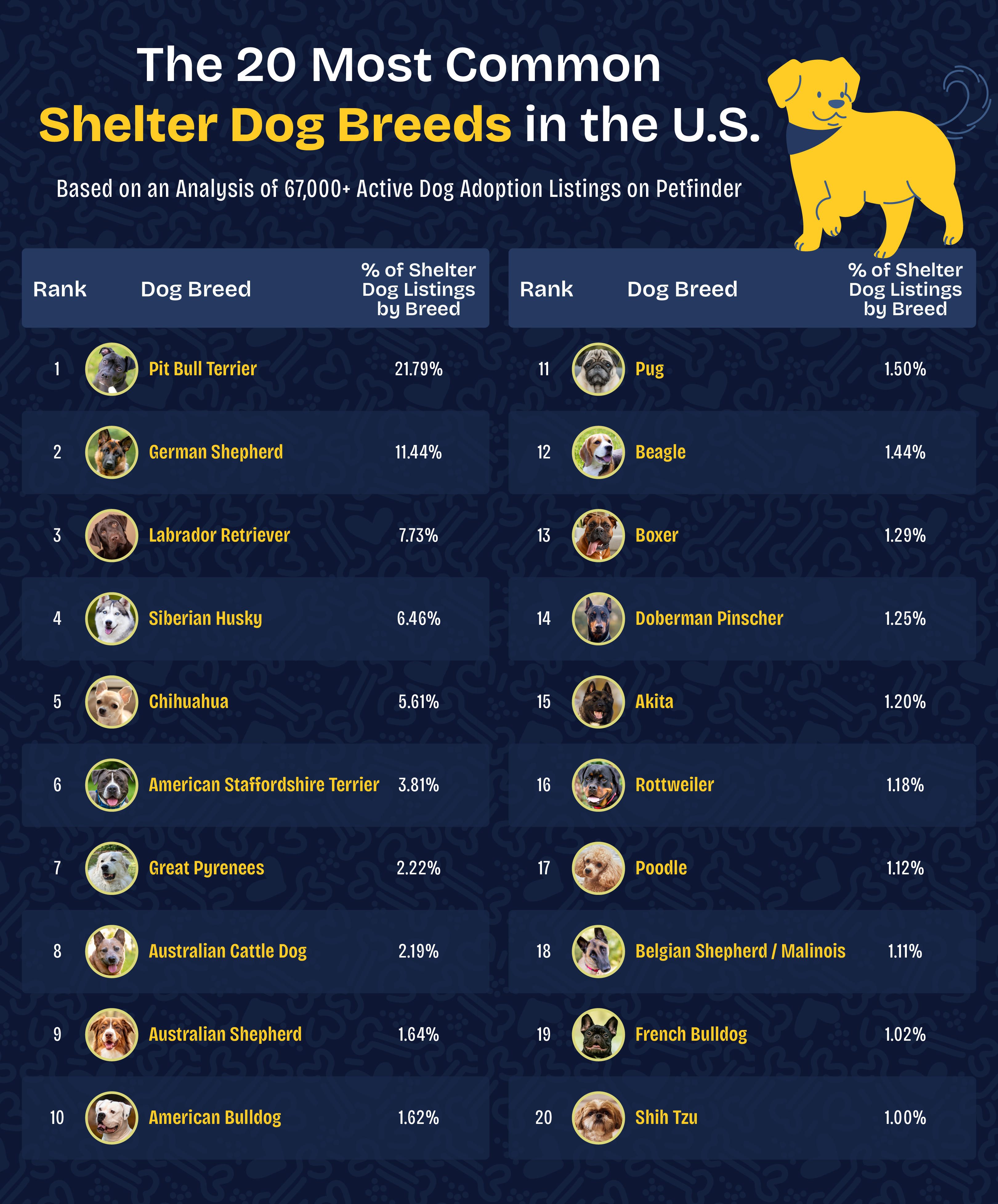 a chart showing the 20 most common dog breeds found in U.S. shelters